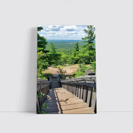 Wooden Staircase Overlooking Vast Forest Landscape