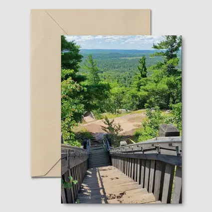 Wooden Staircase Overlooking Vast Forest Landscape