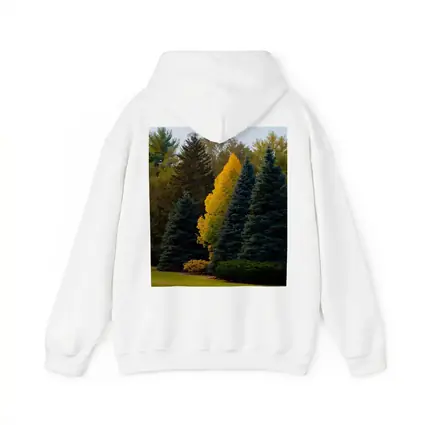 Yellow Autumn Tree Among Blue Spruce Forest