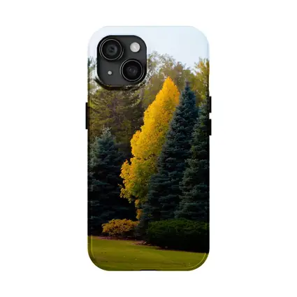 Yellow Autumn Tree Among Blue Spruce Forest