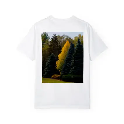 Yellow Autumn Tree Among Blue Spruce Forest