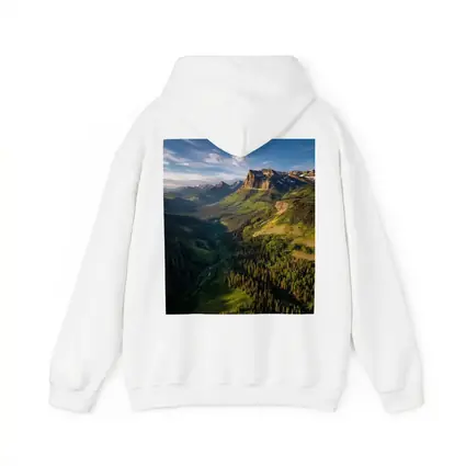 Rocky Mountain Valley Forest Aerial Landscape