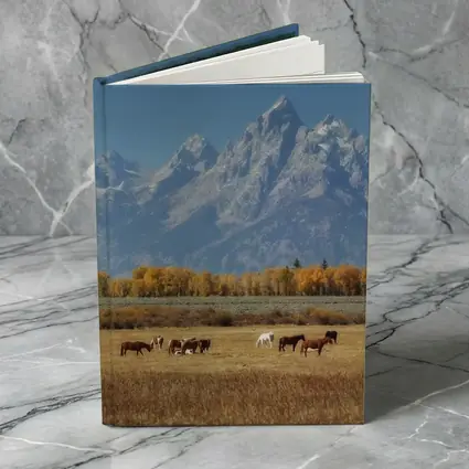 Horses Grazing Grand Teton Mountains Autumn