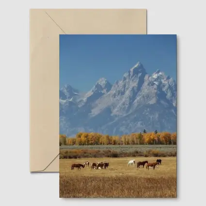 Horses Grazing Grand Teton Mountains Autumn
