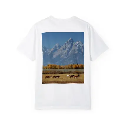 Horses Grazing Grand Teton Mountains Autumn