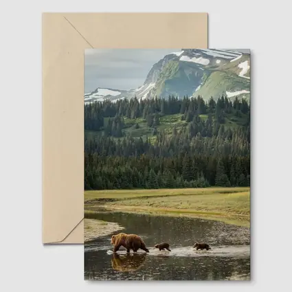 Grizzly Bears Crossing River Mountain Wilderness