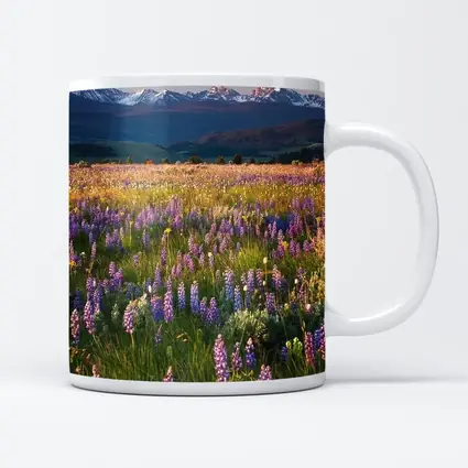 Lupine Wildflower Field Snow Capped Mountains