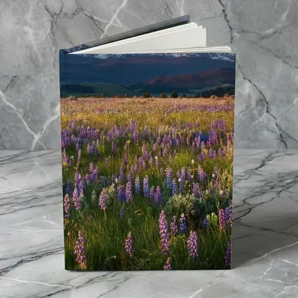 Lupine Wildflower Field Snow Capped Mountains