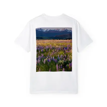 Lupine Wildflower Field Snow Capped Mountains