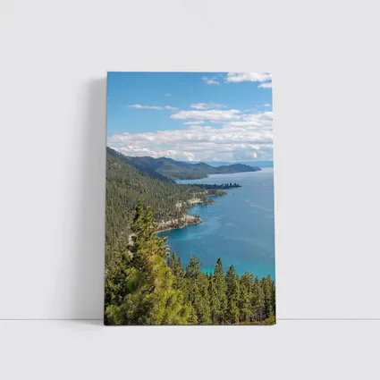 Lake Tahoe Blue Water Pine Forest View