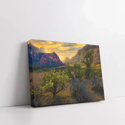 Red Rock Canyon Desert Sunset Landscape