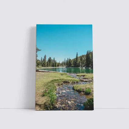 Alpine Lake Stream Pine Forest Clear Sky