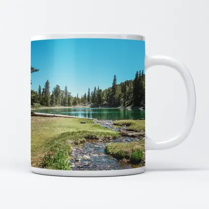 Alpine Lake Stream Pine Forest Clear Sky