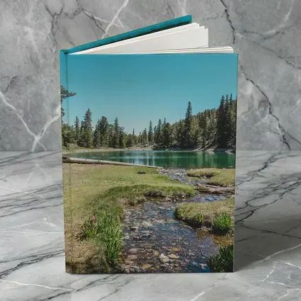 Alpine Lake Stream Pine Forest Clear Sky