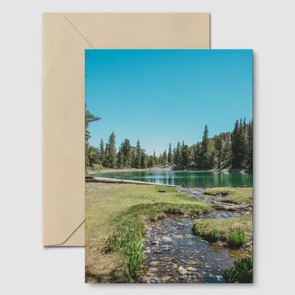 Alpine Lake Stream Pine Forest Clear Sky