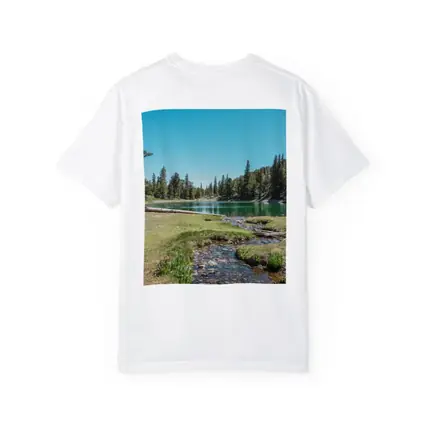 Alpine Lake Stream Pine Forest Clear Sky