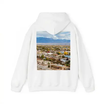 Albuquerque Neighborhood Aerial View Sandia Mountains