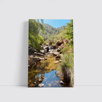 Rocky Creek Stream Forest Mountain Landscape