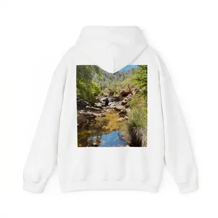 Rocky Creek Stream Forest Mountain Landscape