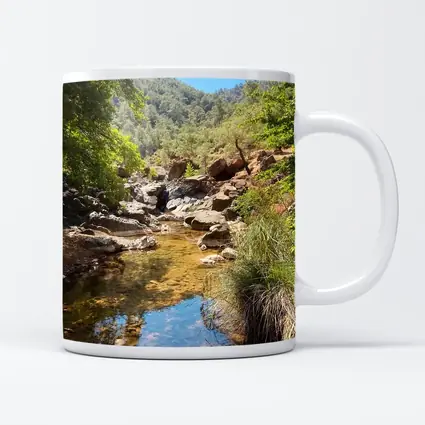 Rocky Creek Stream Forest Mountain Landscape