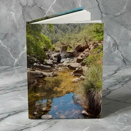 Rocky Creek Stream Forest Mountain Landscape