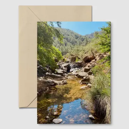 Rocky Creek Stream Forest Mountain Landscape