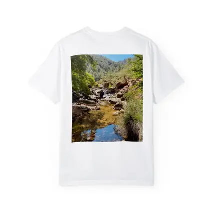 Rocky Creek Stream Forest Mountain Landscape
