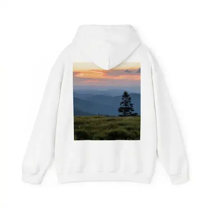 Lone Pine Tree Mountain Sunset Landscape