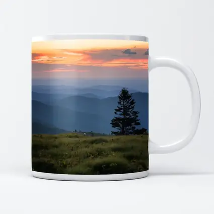 Lone Pine Tree Mountain Sunset Landscape
