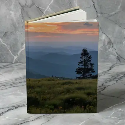 Lone Pine Tree Mountain Sunset Landscape
