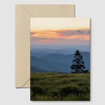 Lone Pine Tree Mountain Sunset Landscape