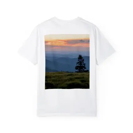 Lone Pine Tree Mountain Sunset Landscape