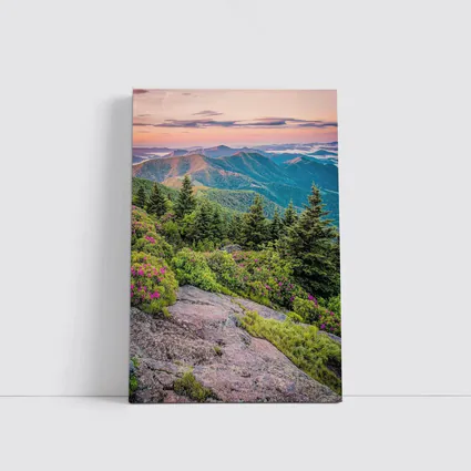 Blue Ridge Mountains Sunrise Pink Wildflowers