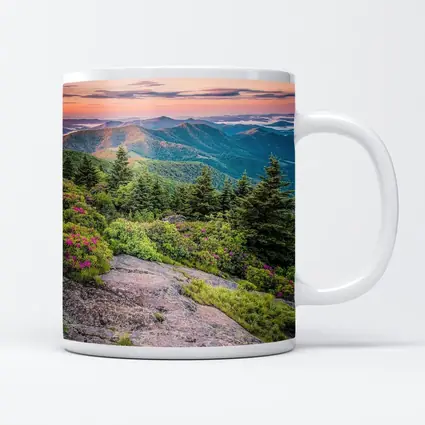 Blue Ridge Mountains Sunrise Pink Wildflowers