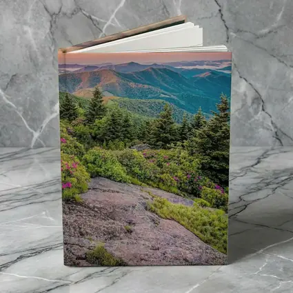 Blue Ridge Mountains Sunrise Pink Wildflowers
