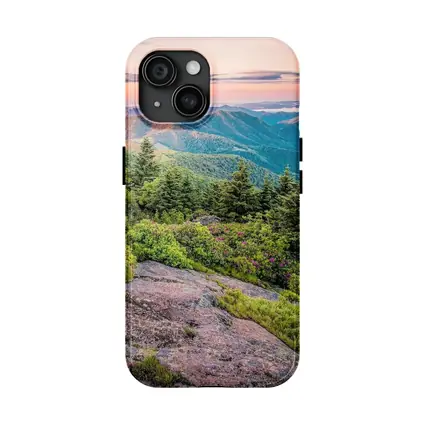 Blue Ridge Mountains Sunrise Pink Wildflowers