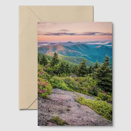 Blue Ridge Mountains Sunrise Pink Wildflowers