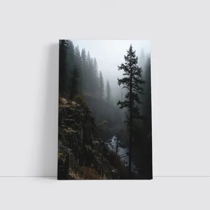 Foggy Forest Canyon River Dark Moody