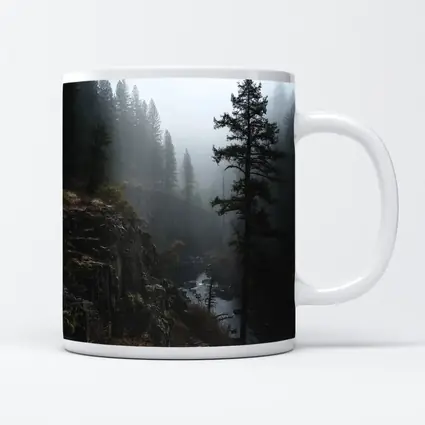 Foggy Forest Canyon River Dark Moody