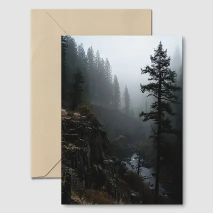 Foggy Forest Canyon River Dark Moody