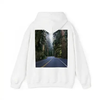 Misty Redwood Forest Road Tall Trees