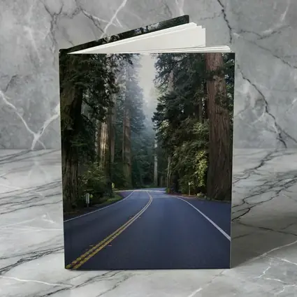 Misty Redwood Forest Road Tall Trees