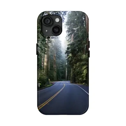 Misty Redwood Forest Road Tall Trees