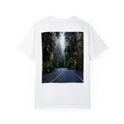 Misty Redwood Forest Road Tall Trees