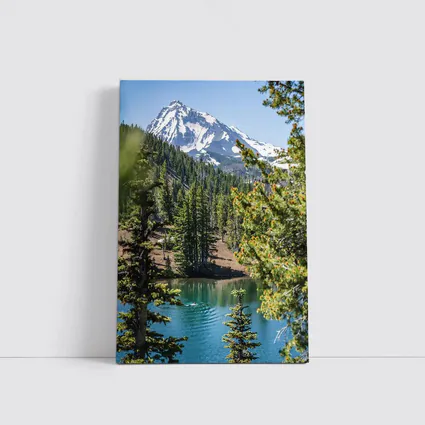 Snow Mountain Lake Forest Pine Trees
