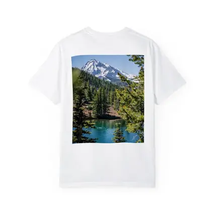 Snow Mountain Lake Forest Pine Trees
