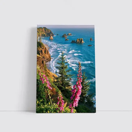 Foxglove Flowers Oregon Coastal Cliffs Ocean