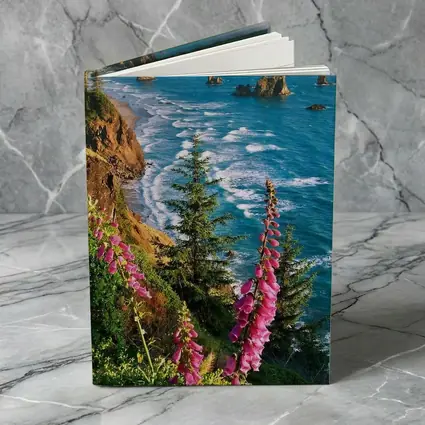 Foxglove Flowers Oregon Coastal Cliffs Ocean