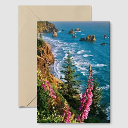 Foxglove Flowers Oregon Coastal Cliffs Ocean