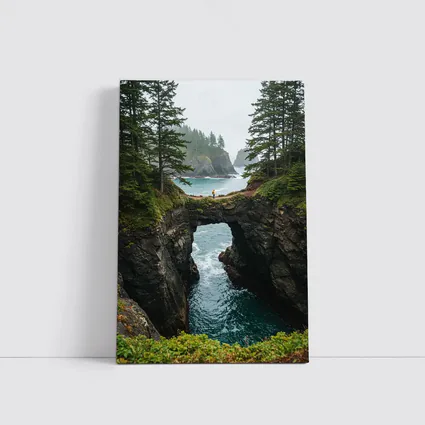 Natural Rock Arch Oregon Coastal Forest